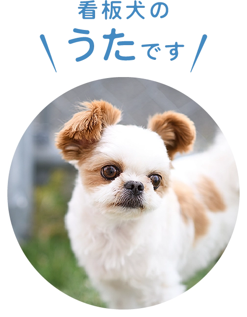 看板犬のうたです